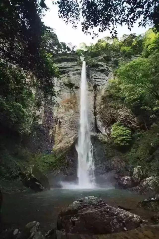 发现冷知识的本人无法去银行查10年前的转账记录该怎么办?平台,轻松拓宽知识边界